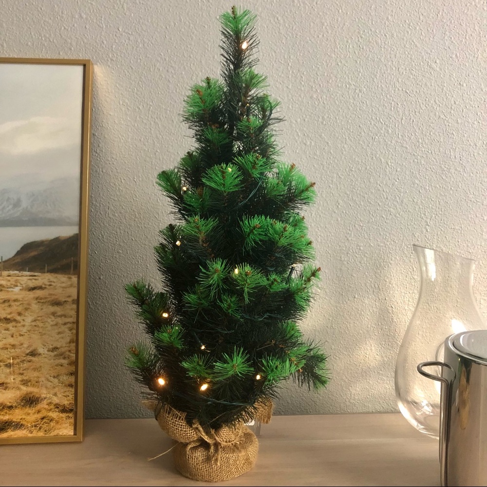 west elm Light Up Evergreen Tabletop Tree 2ft